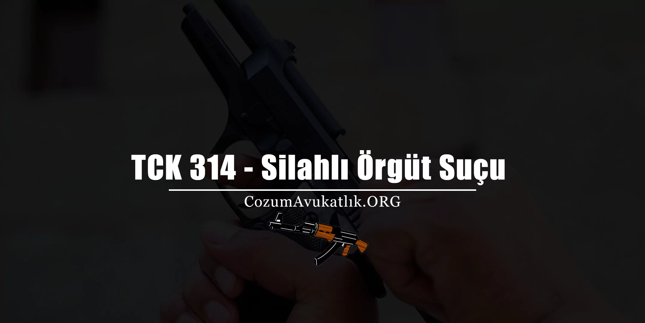 TCK 314 - Silahlı Örgüt Suçu
