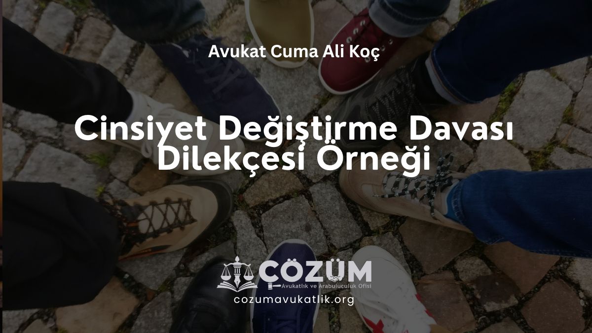 Cinsiyet Değiştirme Davası Dilekçesi Örneği