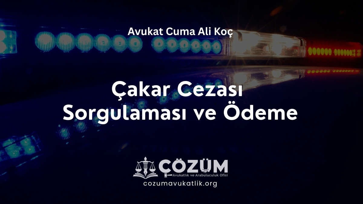 Çakar Cezası Sorgulaması ve Ödeme